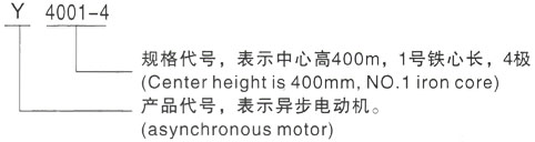 西安泰富西玛Y系列(H355-1000)高压YJTFKK5001-2/900KW三相异步电机型号说明